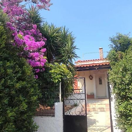 Olive Grove Cottage Skalani Knosos ภายนอก รูปภาพ