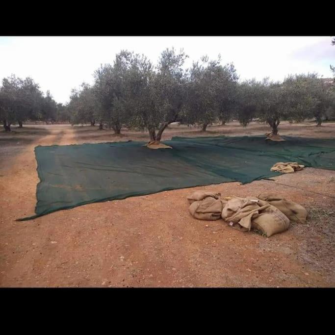Olive Grove Cottage Skalani Knosos ภายนอก รูปภาพ