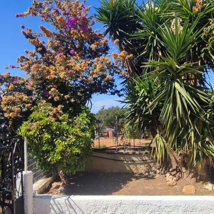 Olive Grove Cottage Skalani Knosos ภายนอก รูปภาพ