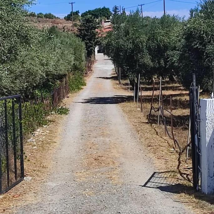 Olive Grove Cottage Skalani Knosos ภายนอก รูปภาพ