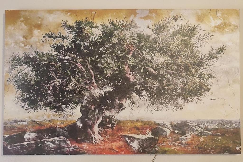 Olive Grove Cottage Skalani Knosos ภายนอก รูปภาพ