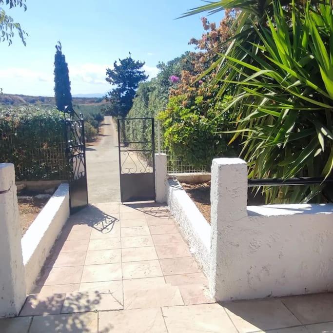 Olive Grove Cottage Skalani Knosos ภายนอก รูปภาพ
