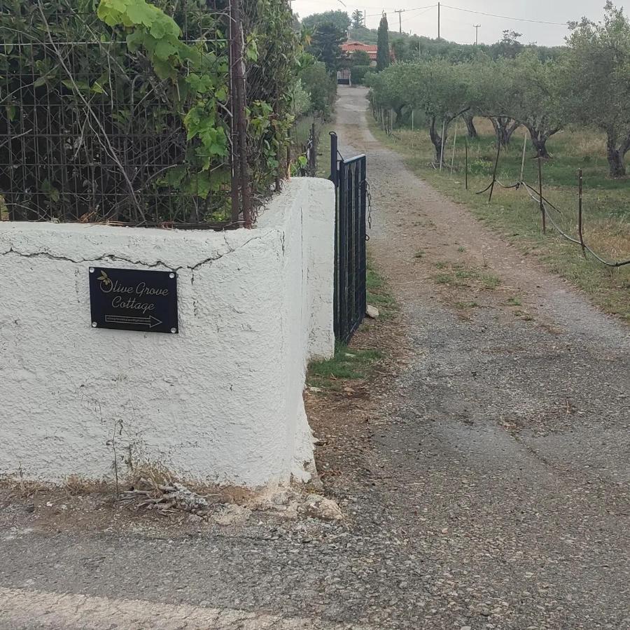 Olive Grove Cottage Skalani Knosos ภายนอก รูปภาพ