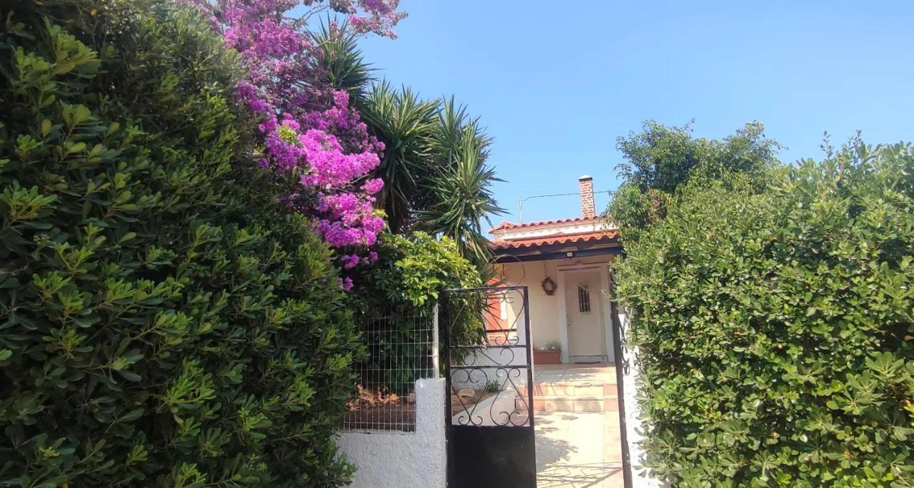 Olive Grove Cottage Skalani Knosos ภายนอก รูปภาพ
