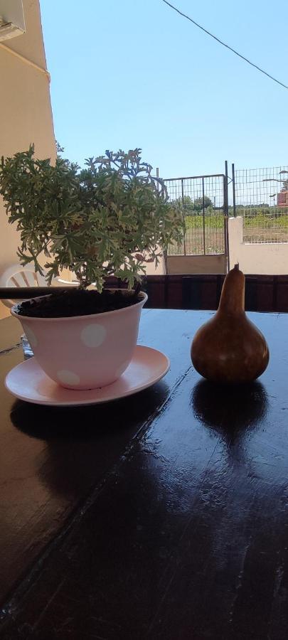 Olive Grove Cottage Skalani Knosos ภายนอก รูปภาพ